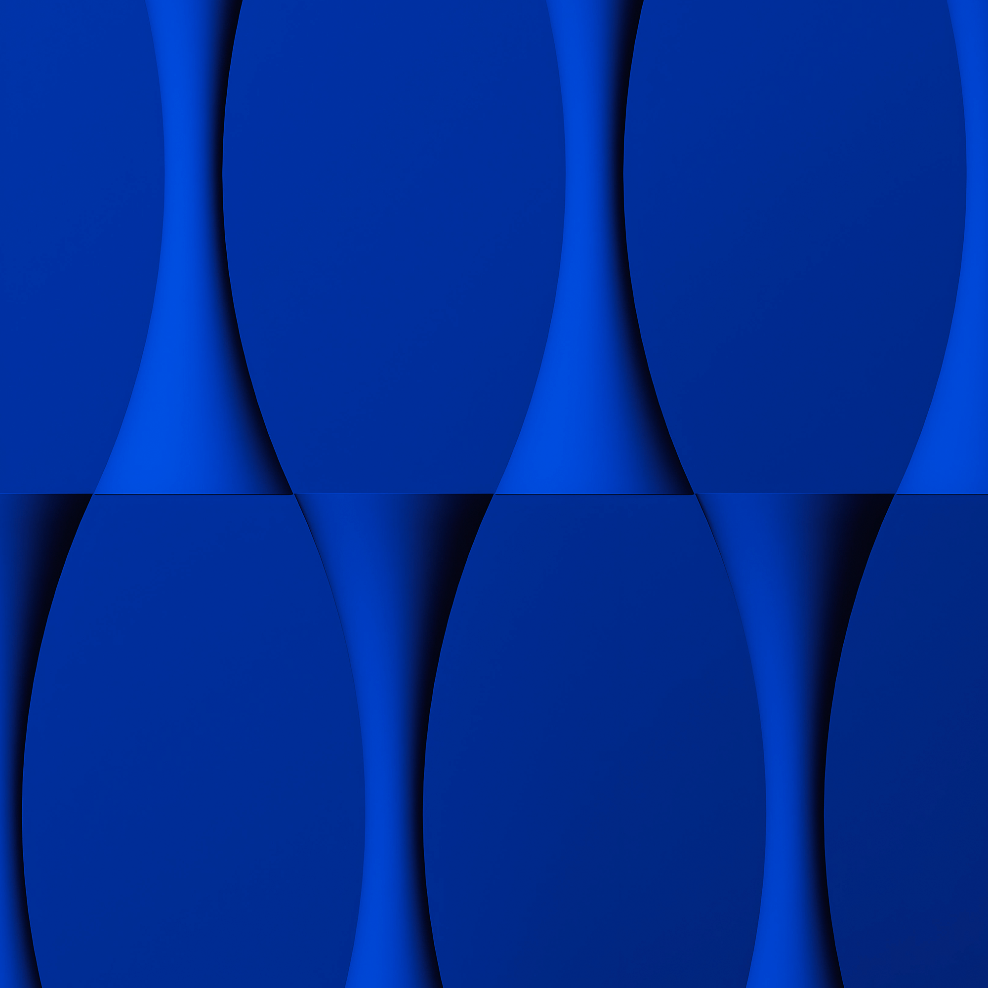 flower with light background